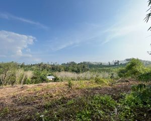 For Sale Land 7,246.4 sqm in Takua Thung, Phang Nga, Thailand