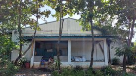 Commercial for sale in Calaocan, Pangasinan
