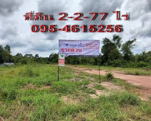 For Sale Land 4,308 sqm in Kabin Buri, Prachin Buri, Thailand
