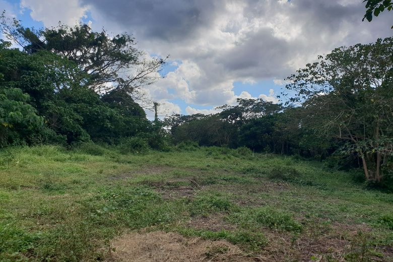 4 HECTARES LAND FOR SALE PINAGSIBAAN, ROSARIO, BATANGAS 📌 Land for sale ...