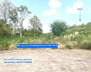 For Sale Land 47,248 sqm in Pak Chong, Nakhon Ratchasima, Thailand