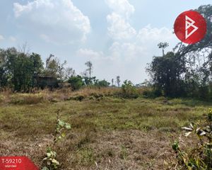 For Sale Land 8,012 sqm in Pa Tio, Yasothon, Thailand
