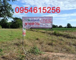 For Sale Land 4,856 sqm in Chatturat, Chaiyaphum, Thailand