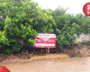 For Sale Land 400 sqm in Na Yai Am, Chanthaburi, Thailand