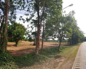 For Sale Land 6,799.2 sqm in Mueang Uttaradit, Uttaradit, Thailand