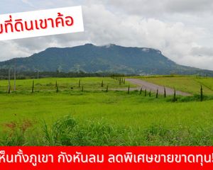For Sale Land 898.4 sqm in Khao Kho, Phetchabun, Thailand