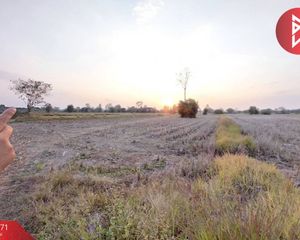 For Sale Land 28,592 sqm in Mueang Nongbua Lamphu, Nong Bua Lamphu, Thailand