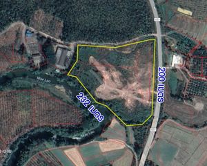 For Sale Land 36,800 sqm in Phu Sang, Phayao, Thailand