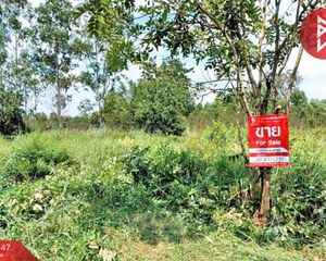 For Sale Land 4,760 sqm in Na Di, Prachin Buri, Thailand