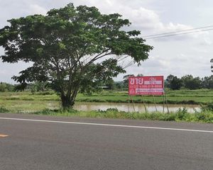 For Sale Land 16,432 sqm in Prakhon Chai, Buriram, Thailand