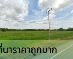 For Sale Land 61,836 sqm in Taphan Hin, Phichit, Thailand