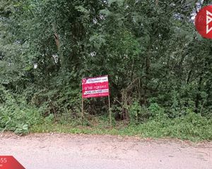 For Sale Land 23,272 sqm in Chom Bueng, Ratchaburi, Thailand