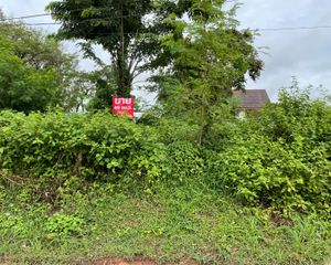 For Sale Land 196 sqm in Mueang Udon Thani, Udon Thani, Thailand