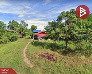 For Sale Land in Ban Mi, Lopburi, Thailand