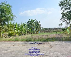 For Sale Land 300 sqm in Nong Suea, Pathum Thani, Thailand
