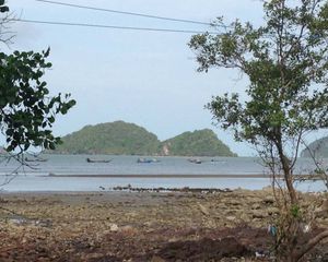 For Sale Land 800 sqm in Sawi, Chumphon, Thailand