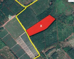 For Sale Land 17,372 sqm in Khao Khitchakut, Chanthaburi, Thailand