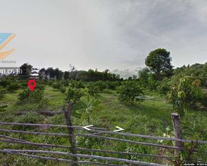 For Sale Land 3,510 sqm in Phu Phiang, Nan, Thailand