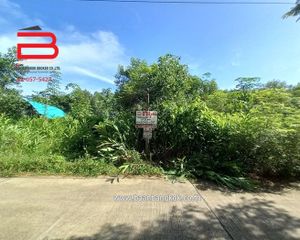 For Sale Land 1,572 sqm in Klaeng, Rayong, Thailand