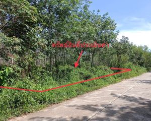 For Sale Land 12,420 sqm in Mueang Trang, Trang, Thailand