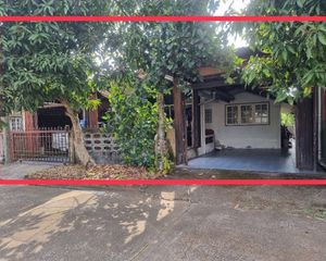 For Sale 3 Beds House in Cha-uat, Nakhon Si Thammarat, Thailand