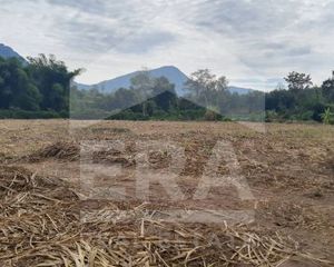 For Sale Land 35,104 sqm in Mueang Loei, Loei, Thailand