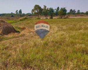 For Sale Land 10,496 sqm in Thoeng, Chiang Rai, Thailand