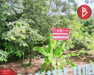 For Sale Land 51,240 sqm in Si Wilai, Bueng Kan, Thailand