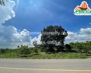 For Sale Land 8,980 sqm in Pak Chong, Nakhon Ratchasima, Thailand