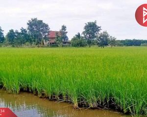 For Sale Land 31,488 sqm in Nong Khayang, Uthai Thani, Thailand