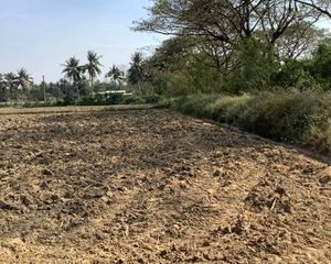 For Sale Land 14,700 sqm in Mueang Suphanburi, Suphan Buri, Thailand