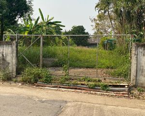 For Sale Land 1,788 sqm in Mae Sai, Chiang Rai, Thailand