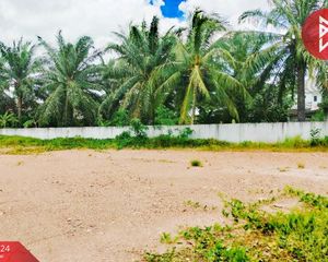 For Sale Land 1,588 sqm in Mueang Chumphon, Chumphon, Thailand