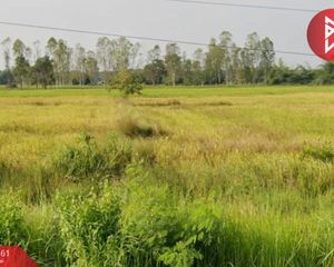 For Sale Land 71,388 sqm in Seka, Bueng Kan, Thailand