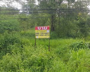 For Sale Land 5,908 sqm in Ban Dan Lan Hoi, Sukhothai, Thailand