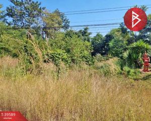 For Sale Land 876 sqm in Seka, Bueng Kan, Thailand