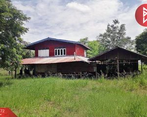 For Sale Land 20,776 sqm in Phrom Phiram, Phitsanulok, Thailand