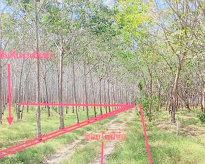 For Sale Land 23,980 sqm in Mueang Satun, Satun, Thailand