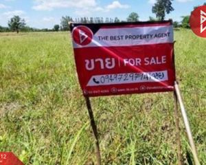 For Sale Land 7,076 sqm in Sa Bot, Lopburi, Thailand