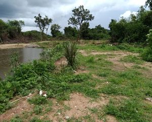 For Sale Land 334 sqm in Mueang Lamphun, Lamphun, Thailand