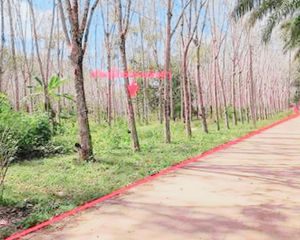 For Sale Land 14,096 sqm in Mueang Trang, Trang, Thailand