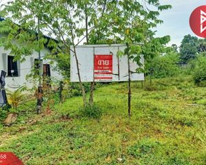 For Sale Land 381.6 sqm in Mueang Songkhla, Songkhla, Thailand