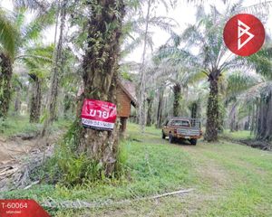 For Sale Land 16,904 sqm in Mueang Chumphon, Chumphon, Thailand