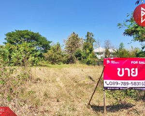 For Sale Land 3,704 sqm in Mueang Chaiyaphum, Chaiyaphum, Thailand