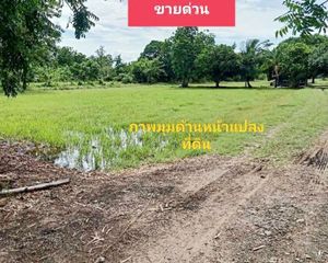 For Sale Land 25,648 sqm in Nong Muang, Lopburi, Thailand