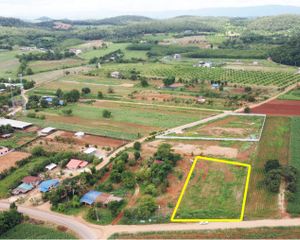 For Sale Land 3,200 sqm in Pak Chong, Nakhon Ratchasima, Thailand