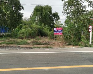 For Sale Land 2,400 sqm in Doem Bang Nang Buat, Suphan Buri, Thailand
