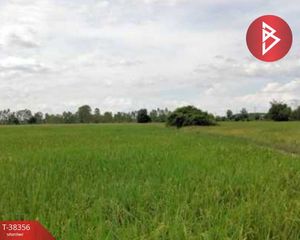 For Sale Land 125,784 sqm in Taphan Hin, Phichit, Thailand