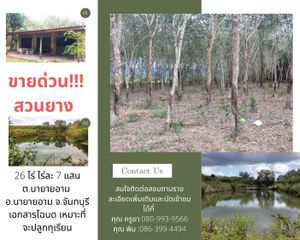 For Sale Land 41,308 sqm in Na Yai Am, Chanthaburi, Thailand
