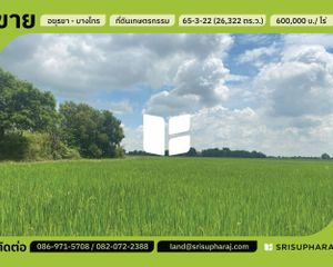 For Sale Land 105,288 sqm in Bang Sai, Phra Nakhon Si Ayutthaya, Thailand